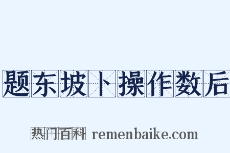 题东坡卜操作数后是什么意思的图片
